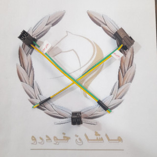 سوکت دو فیش خطر عقب پژو